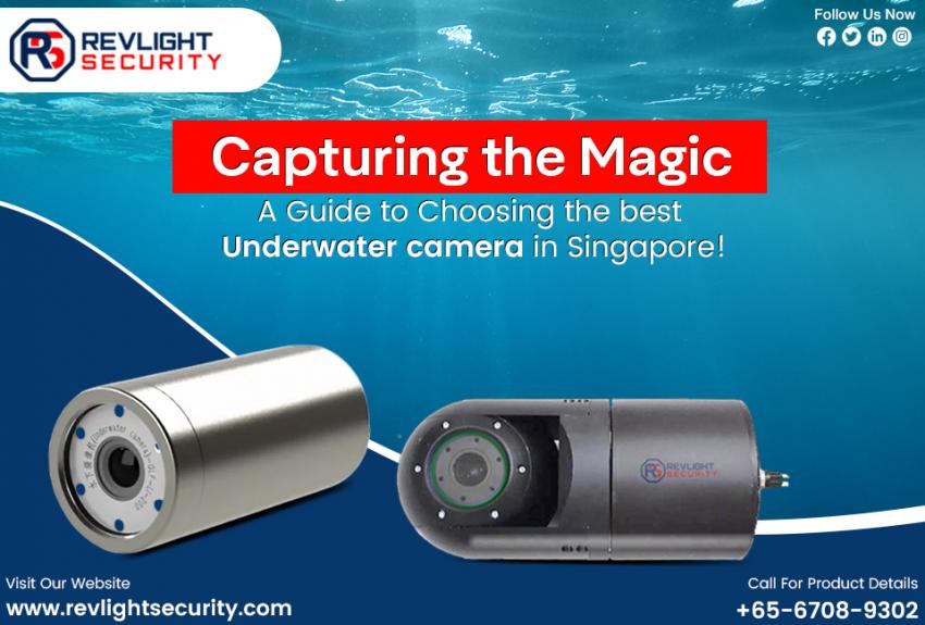 Capturing The Magic: A Guide To Choosing The Best Underwater Camera In Singapore! | by mariejo | Sociomix