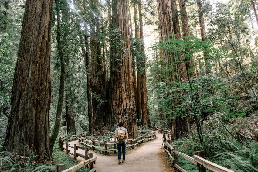 Caleb Jones, Fork in the Road, Unsplash Caleb Jones, Fork in the Road, Unsplash