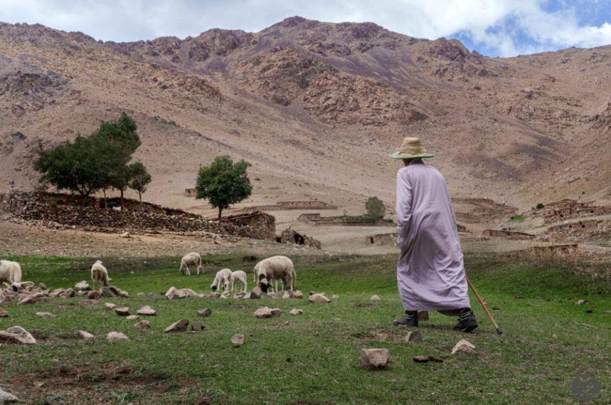 Discover The Best Riads In Marrakech by kafeelansari1