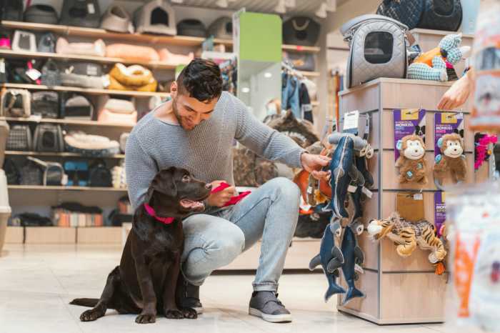 Why Dog Products Dominate The Market Why Dog Products Dominate The Market by Joyce