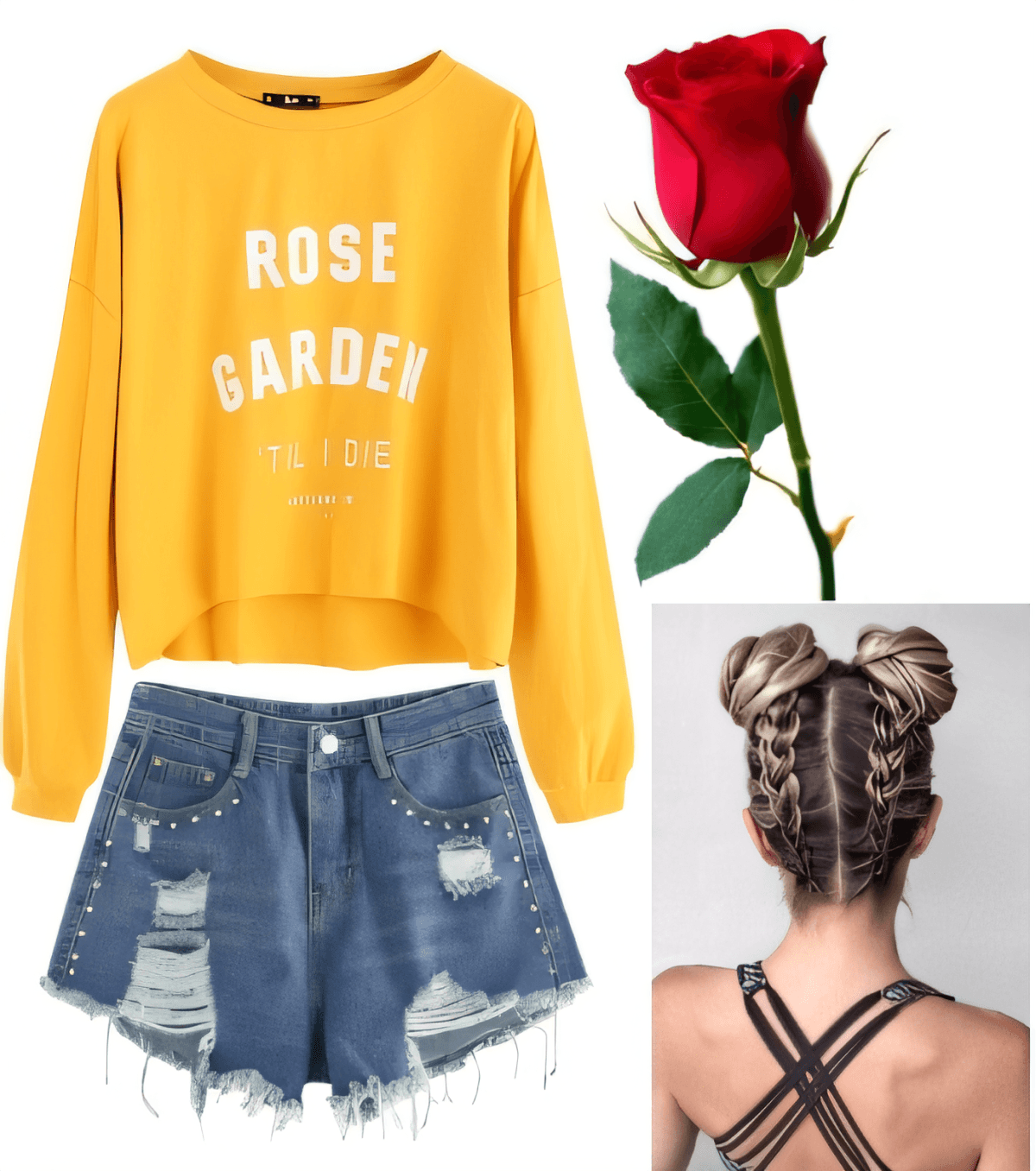 Blooming Rose Garden Rebel Blooming Rose Garden Rebel by kiran