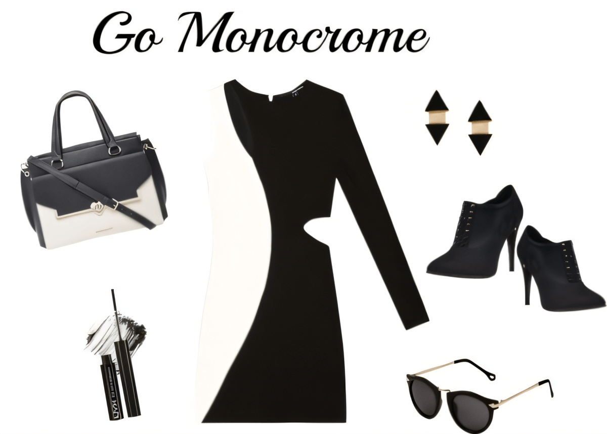 Modern Minimalist: The Power of Black & White Elegance by sanyakhurana25