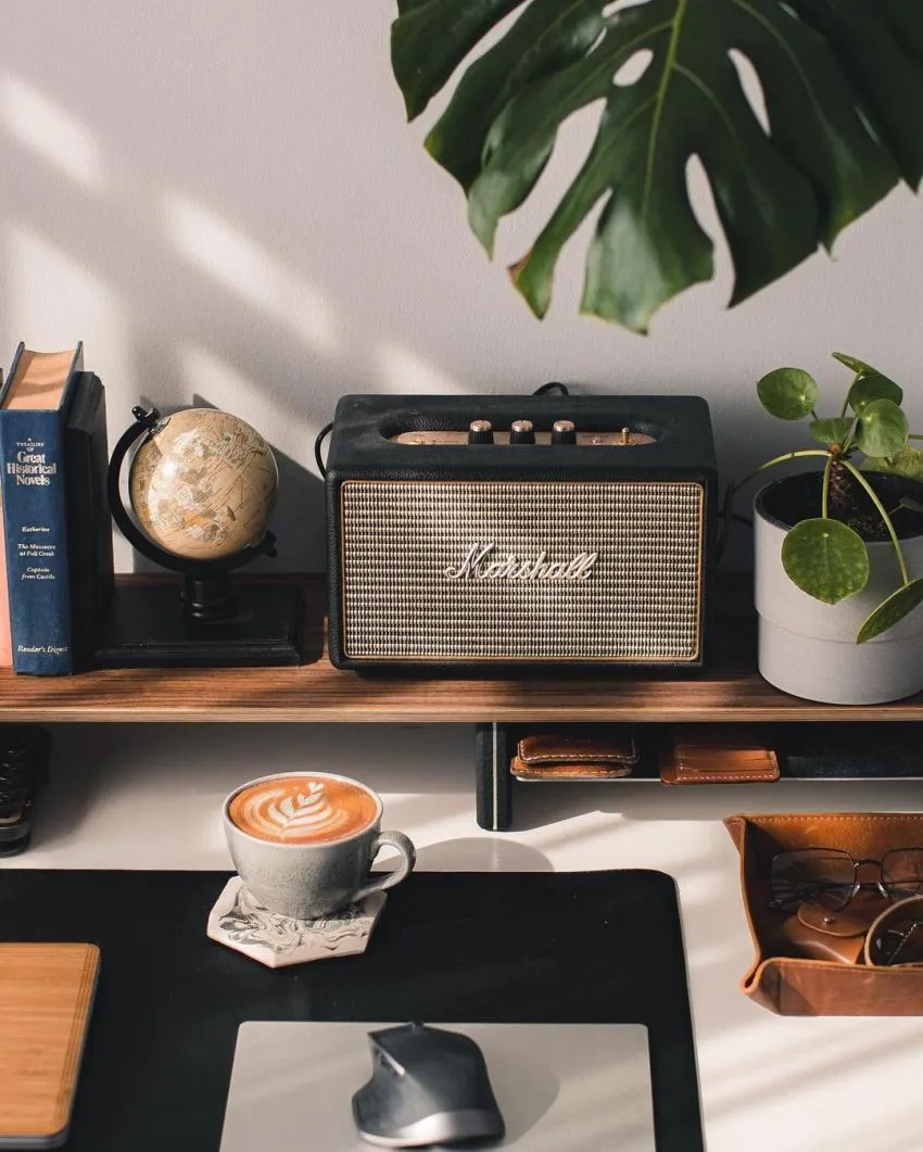 5 Must-Have Items Every Record Collector Needs