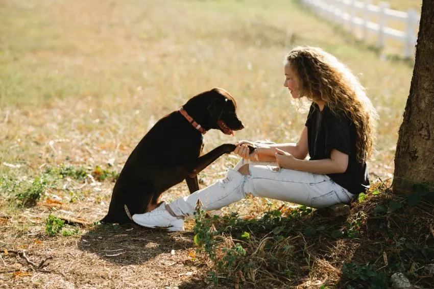 dogs make you empathetic dogs make you empathetic