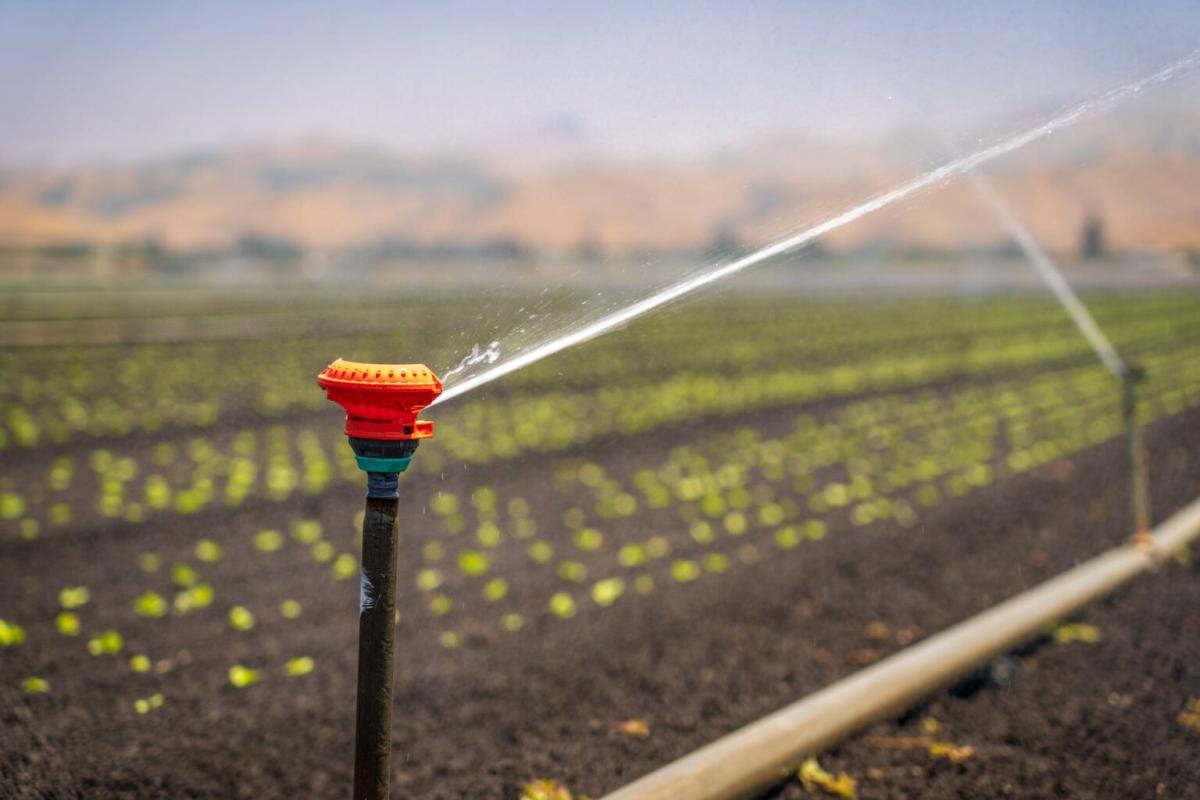 Smart Irrigation: Small Greenhouse Watering Tips Smart Irrigation: Small Greenhouse Watering Tips by Puroxi Pure Water Global Inc