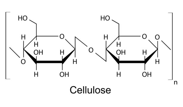 Cellulose Market Forecast Report With Growth Drivers 2032 by olivia