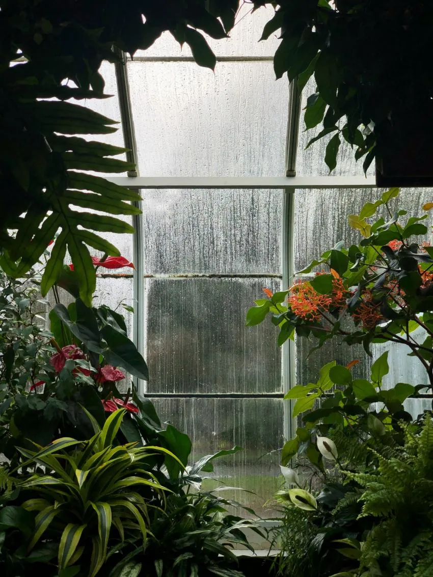 rain or nature sounds for meditation