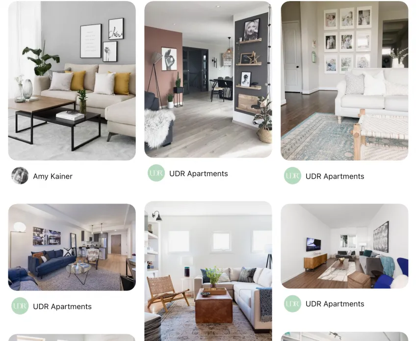 Living Room Decor Collaboration 