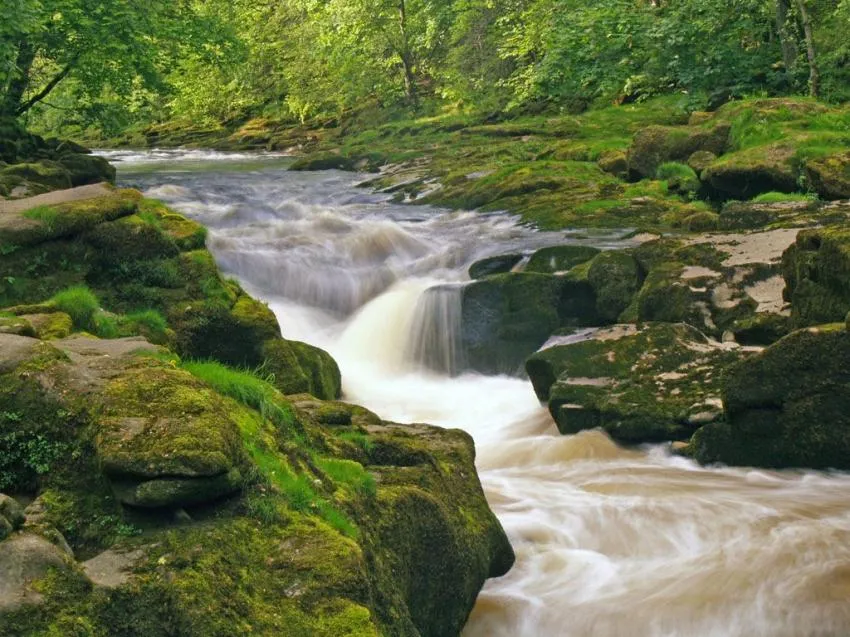 The Strid The Strid for wild swimming