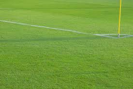 How Artificial Hockey Turf Improves Player Performance And Safety by OSMS Turf