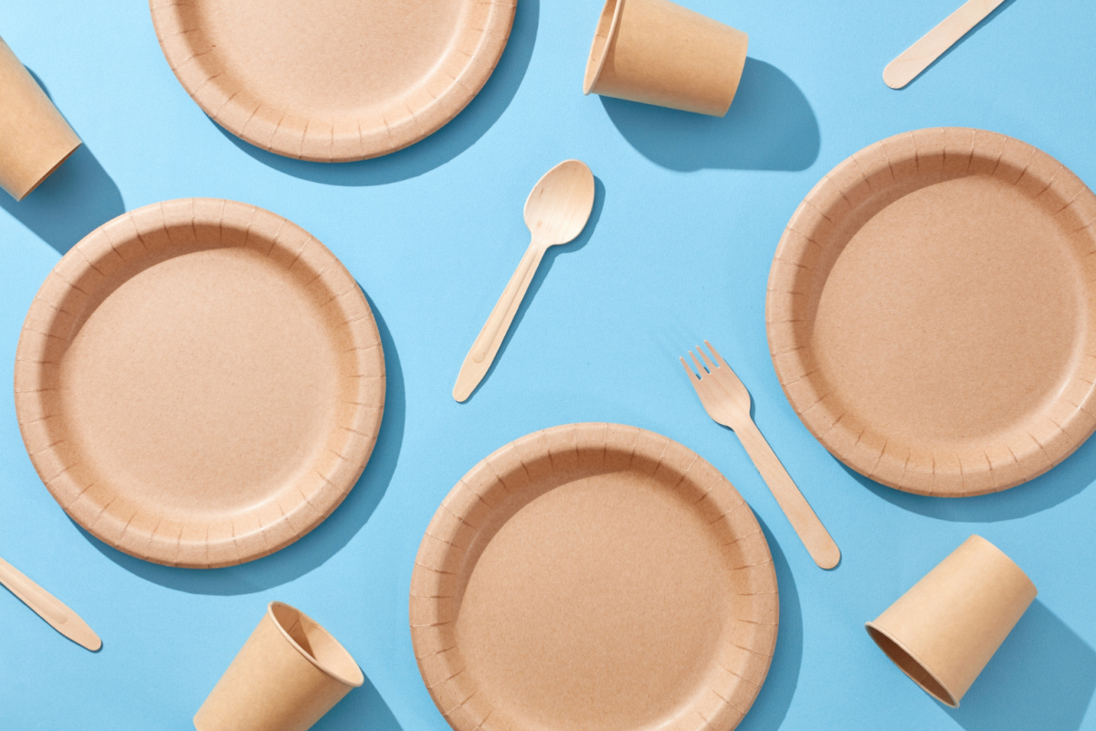 Make Your Corporate Events Greener With Eco Disposable Plates Make Your Corporate Events Greener With Eco Disposable Plates by Save The Planet - Eco Friendly Products Supplier