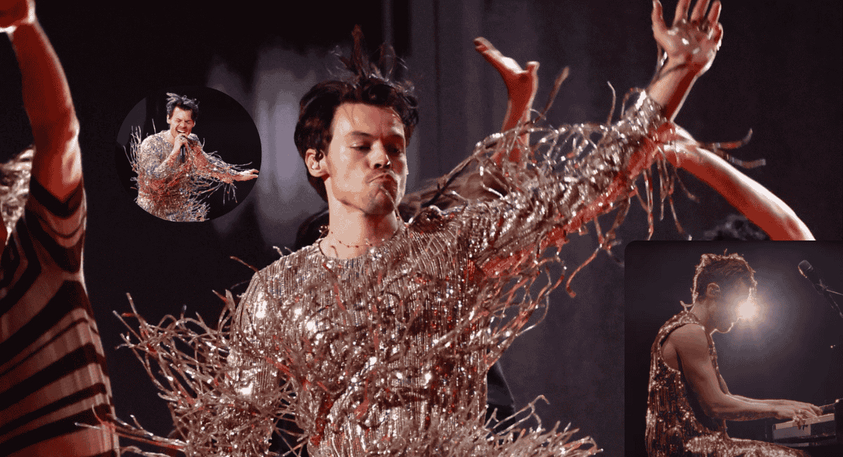 Harry Styles Next Move