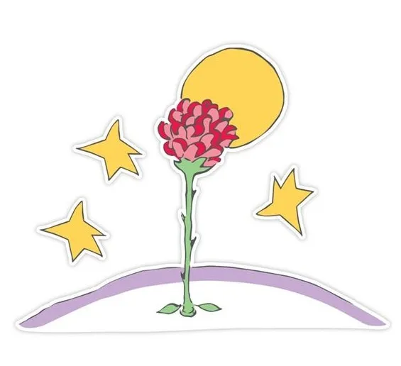 rose; little prince; love