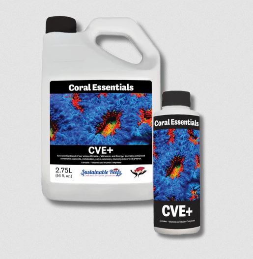 Unlocking Coral Health: The Best Coral Additives, Feeding Tips, And Reef Tank Setup Guide by Dalua International
