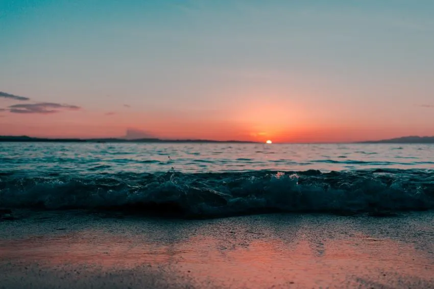 https://images.pexels.com/photos/1139541/pexels-photo-1139541.jpeg?auto=compress&cs=tinysrgb&dpr=2&h=750&w=1260
