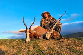 How Conservation-Focused African Game Hunting Safaris Support Anti-Poaching Initiatives And Habitat Restoration by zaid