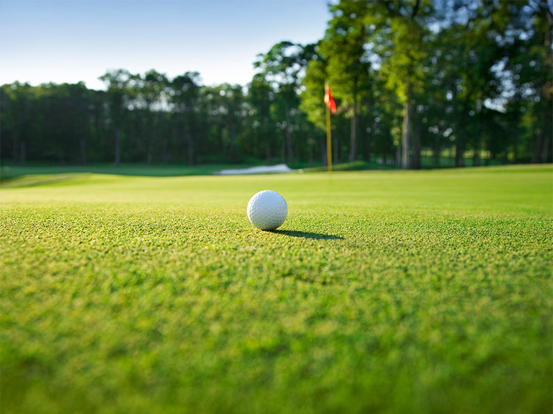 Understanding Different Turf Types Of Putting Green Artificial Grass In Austin Understanding Different Turf Types Of Putting Green Artificial Grass In Austin by nationalgreens