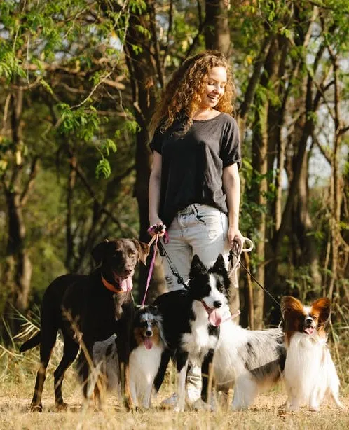 dogs won't let you feel lonely at all dogs won't let you feel lonely at all