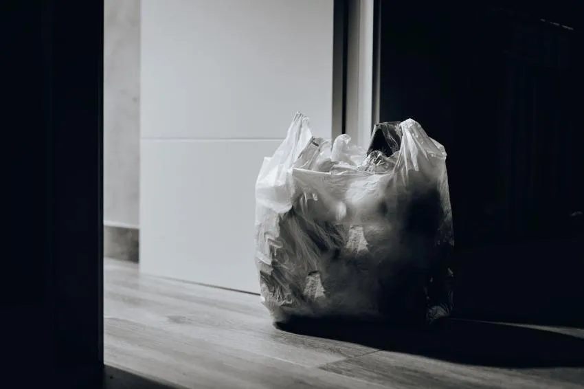 Take out the garbage often. pro tip for living on your own