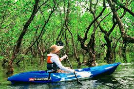 Best Kayaking Packages In Goa – Experience Adventure With Konkan Explorers by kajalpanwar