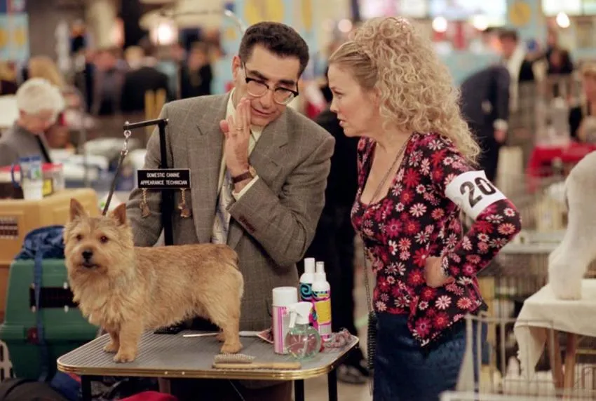 Best In Show movie still best in show movie 2000 still eugene levy catherine o'hara