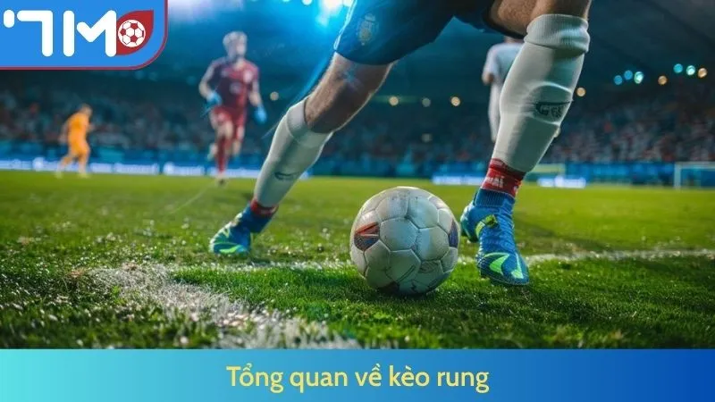 Hướng Dẫn Chơi Kèo Rung Hiệu Quả Từ 7m by 7M