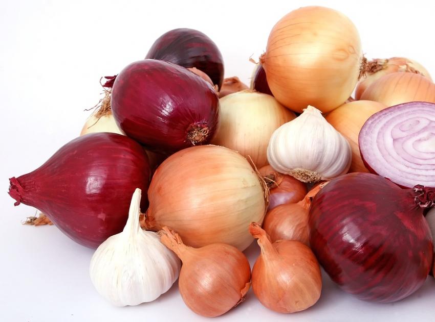 Onion and Garlic Onion and Garlic Family Pre-Granule Substitution