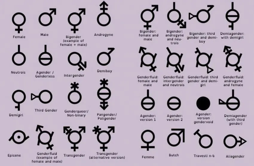different types of genders