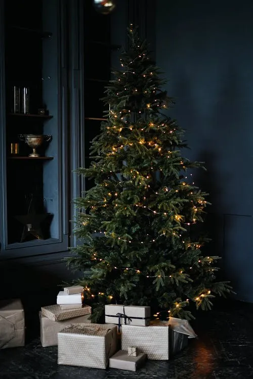 Árbol de Navidad espeluznante A Christmas tree in a dark room