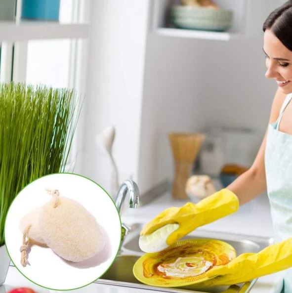 Why Switching To A Natural Loofah Dish Sponge Is The Smart Eco-Friendly Choice Why Switching To A Natural Loofah Dish Sponge Is The Smart Eco-Friendly Choice by Cute Eve