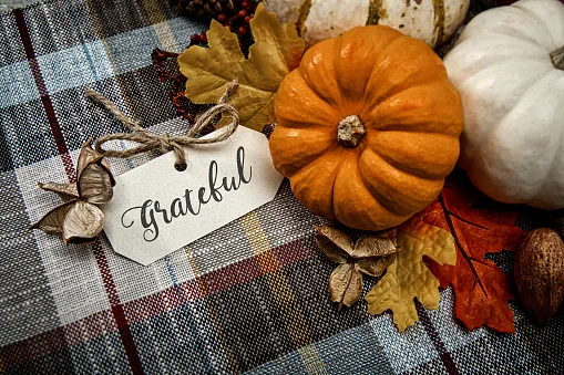 practice gratitude to keep you going