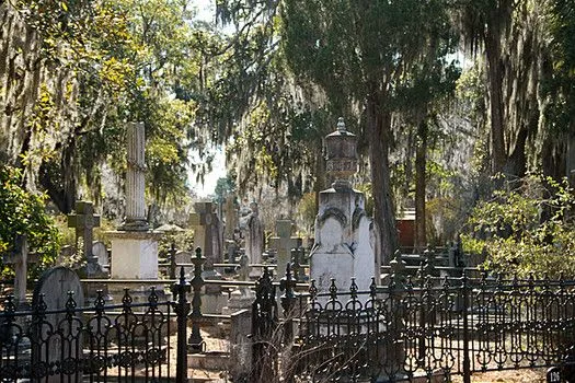 inside the Laurel Grove cemetery