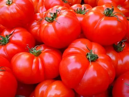 Ripe red tomatoes