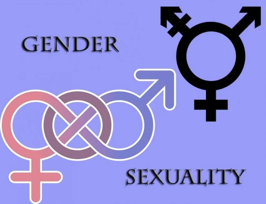 difference between someone's sexual orientation and someone's gender