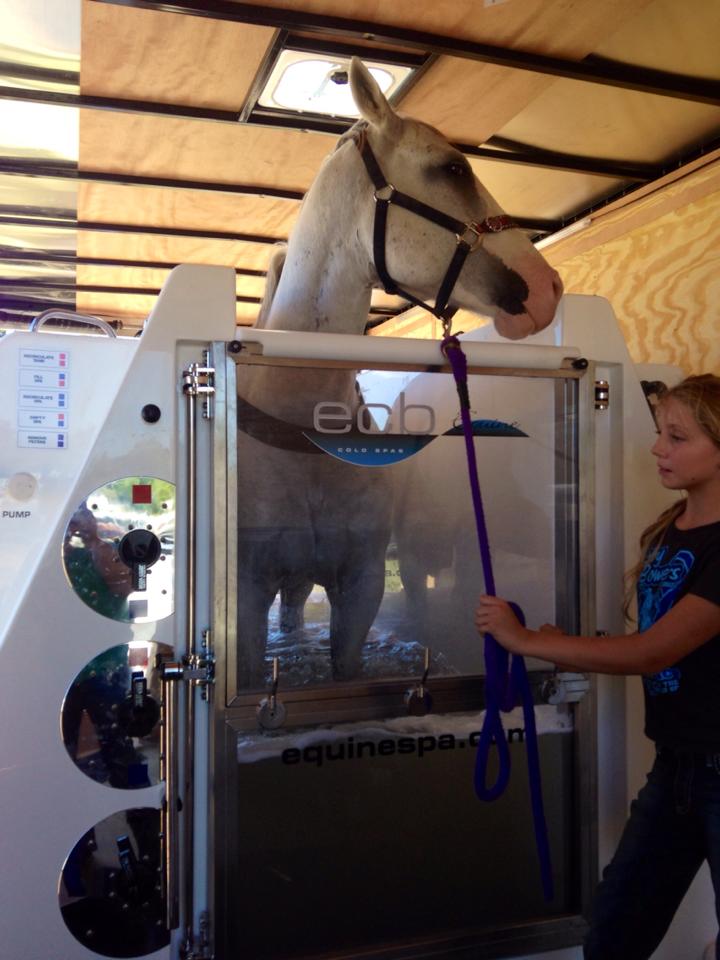 Equipping Your Equine Wellness Journey: A Guide To Equine Therapy Equipment Equipping Your Equine Wellness Journey: A Guide To Equine Therapy Equipment by ECB Equine Spas