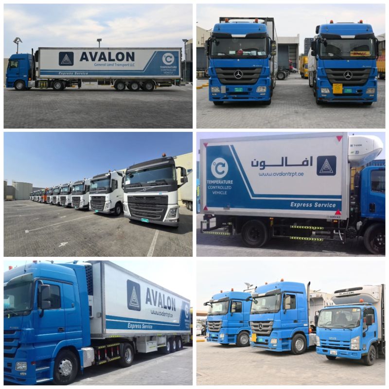 Global & Local Transport Services In Dubai: Comprehensive Logistics Solutions Global & Local Transport Services In Dubai: Comprehensive Logistics Solutions by Avalontrpt
