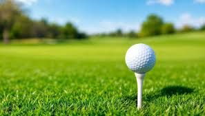 What Makes Artificial Golf Turf So Popular? by OSMS Turf