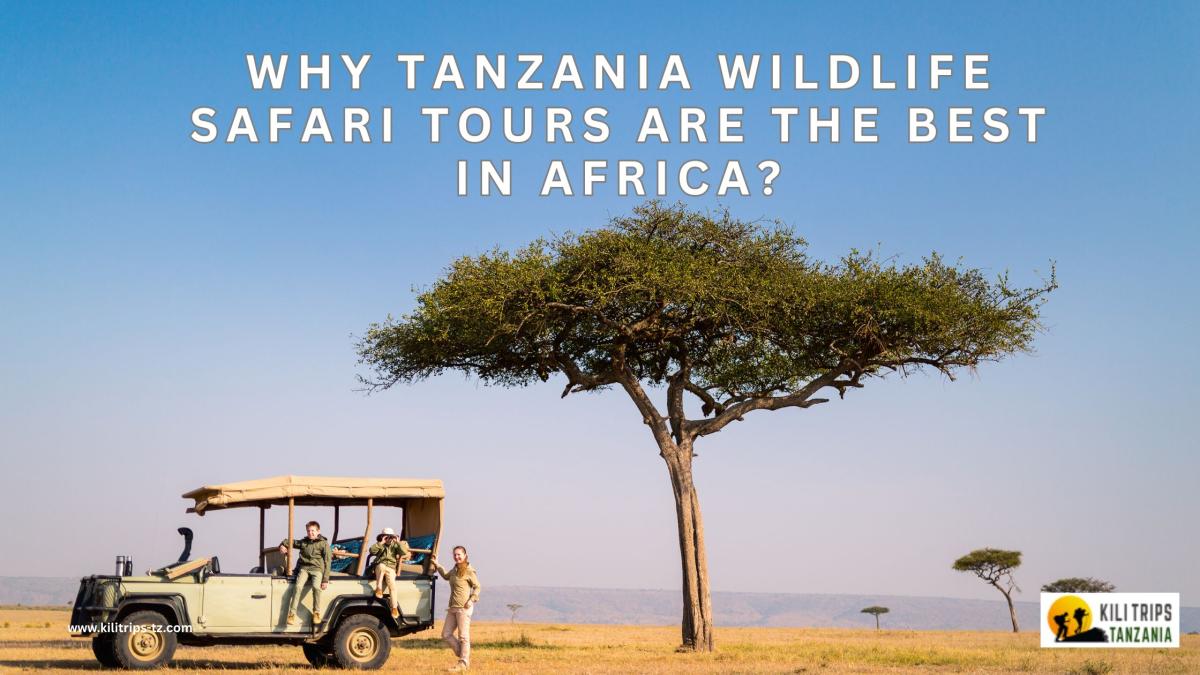 Why Tanzania Wildlife Safari Tours Are The Best In Africa? by Kili Trips