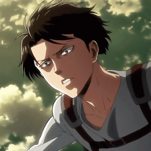 levi ackerman why people love levi ackerman