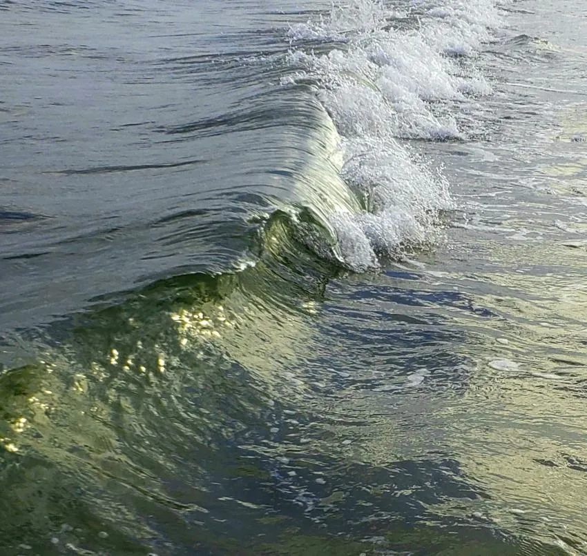 Sea surf
