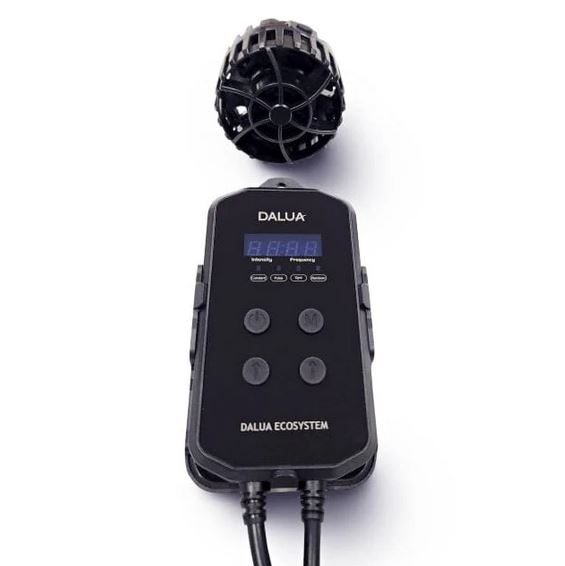 Essential Guide To The Best Reef Tank Equipment And Maintenance Tips by Dalua International