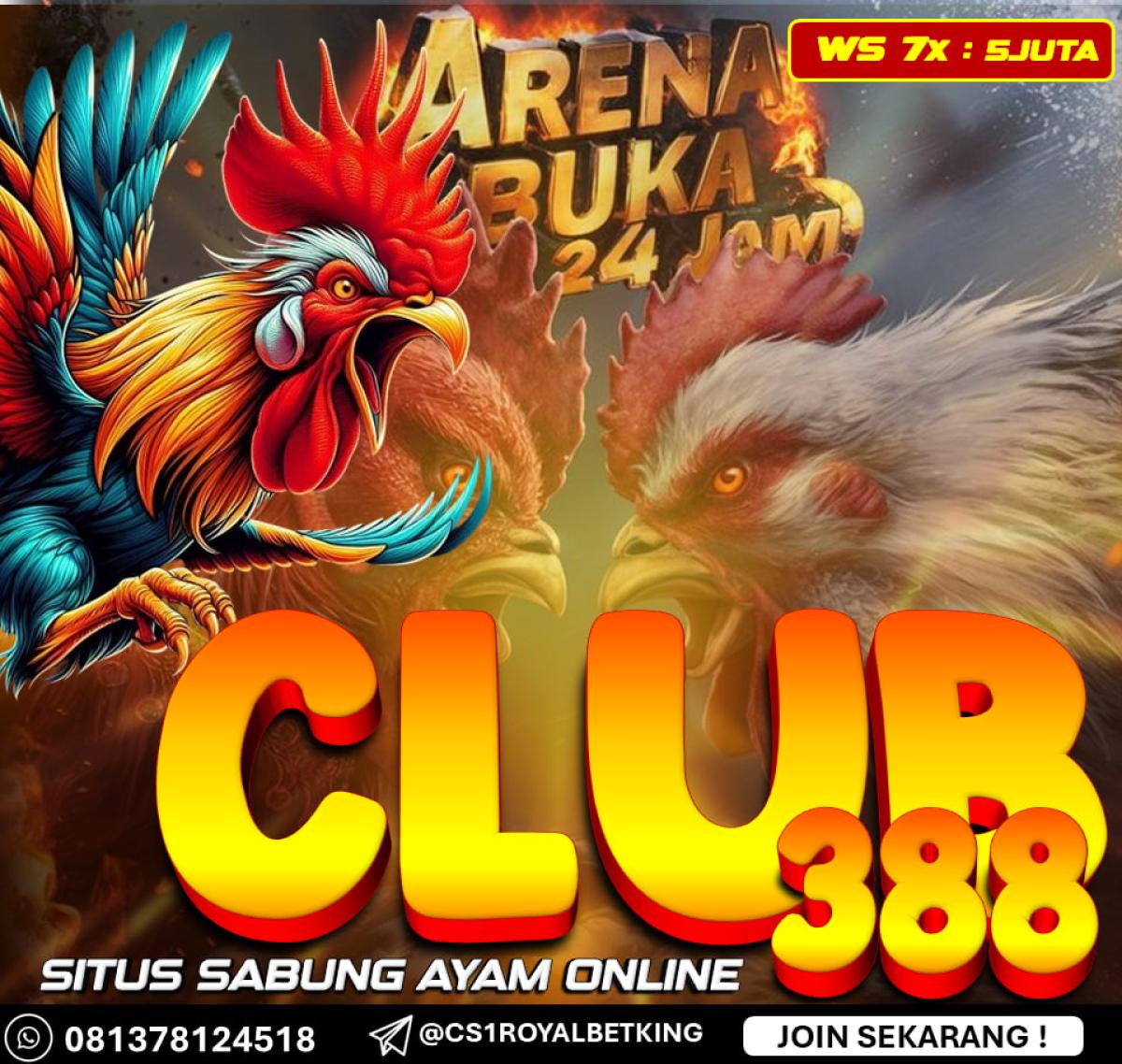 DAFTAR SABUNG AYAM ONLINE CLUB388 TERPERCAYA by AGENROYALBETKING