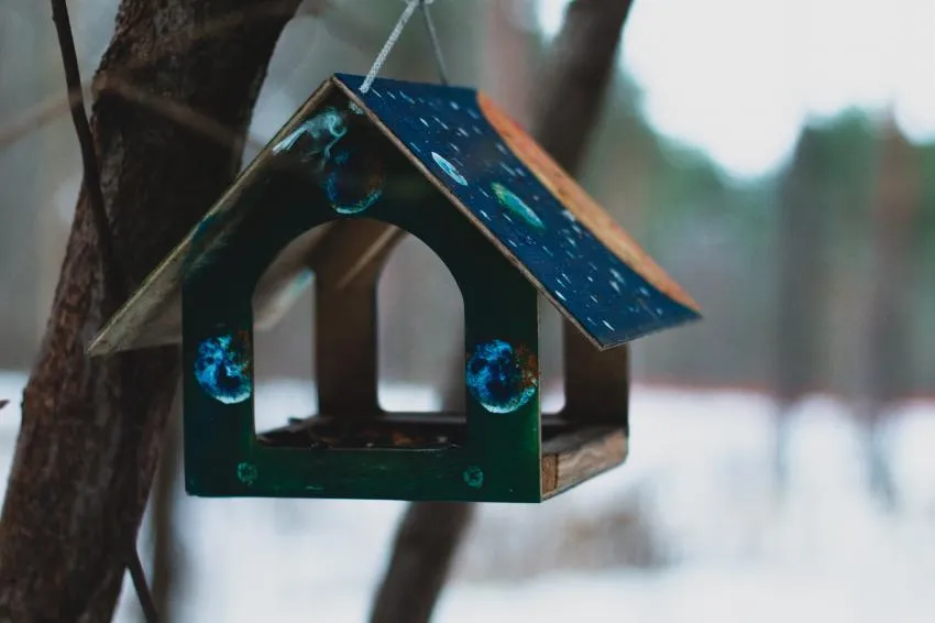 Making birdhouse and birdbath with your kids