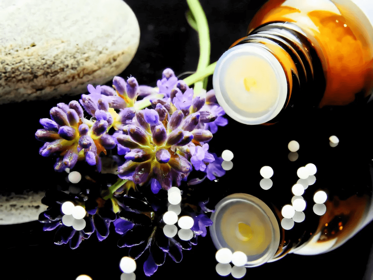 Best Vitamins, Herbs, And Minerals For Your Immune System That You Did Not Know You Were Missing Best Vitamins, Herbs, And Minerals For Your Immune System That You Did Not Know You Were Missing by Apryl
