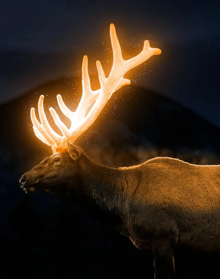 Reindeer with fiery antlers