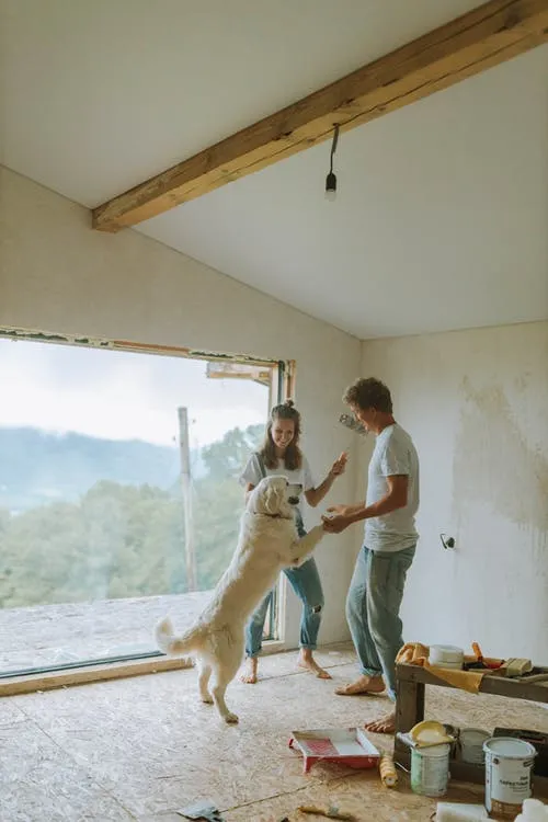 dating is easier when you have a dog dating is easier when you have a dog