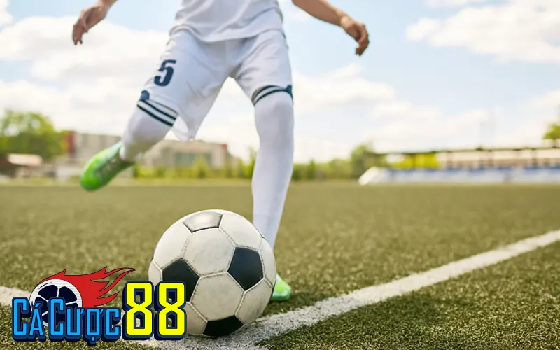 Tip Nội Gián: Đòn Bẩy Lợi Nhuận Hay Cạm Bẫy Tài Chính? by Cacuoc88