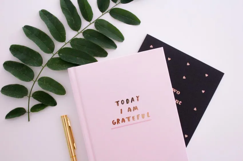Gratitude journal 