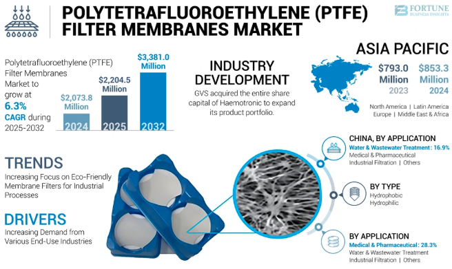 Polytetrafluoroethylene (PTFE) Filter Membranes Market Strategic Roadmap And Forecast | 2025–2032 by olivia