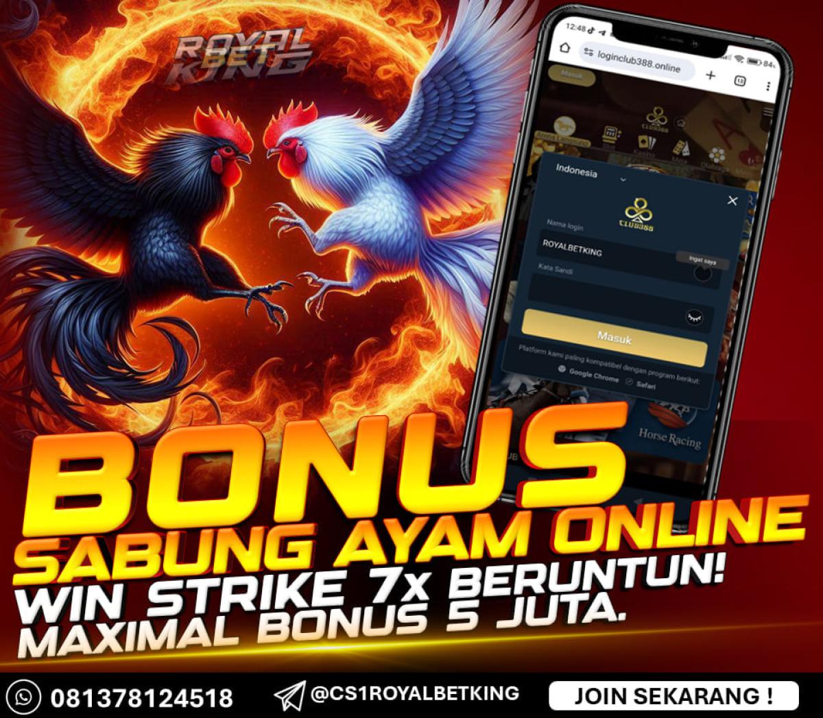BONUS SABUNG AYAM ONLINE TERBESAR / WINSTRIKE 7KALI by AGENROYALBETKING